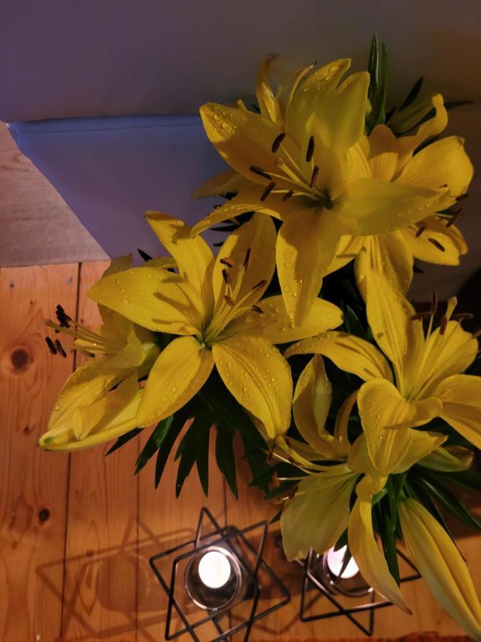 Apartament Lilla 옐레니아구라 외부 사진